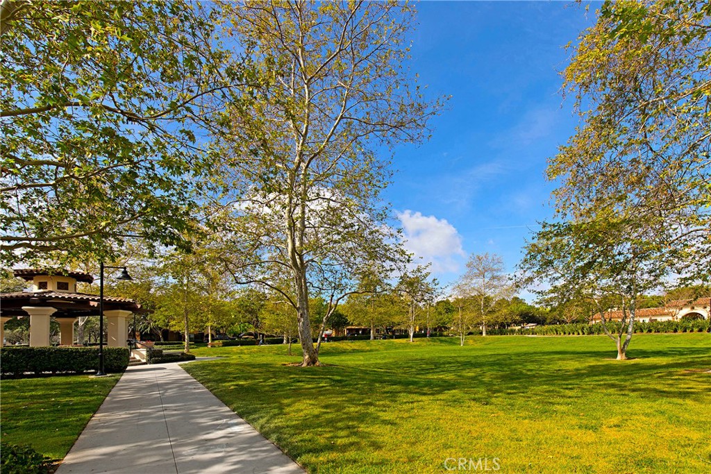 14 Tall Oak