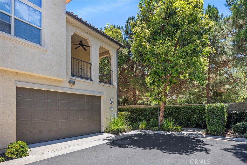 244 Rose Arch