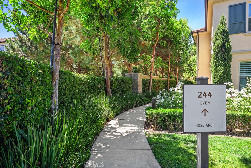 244 Rose Arch