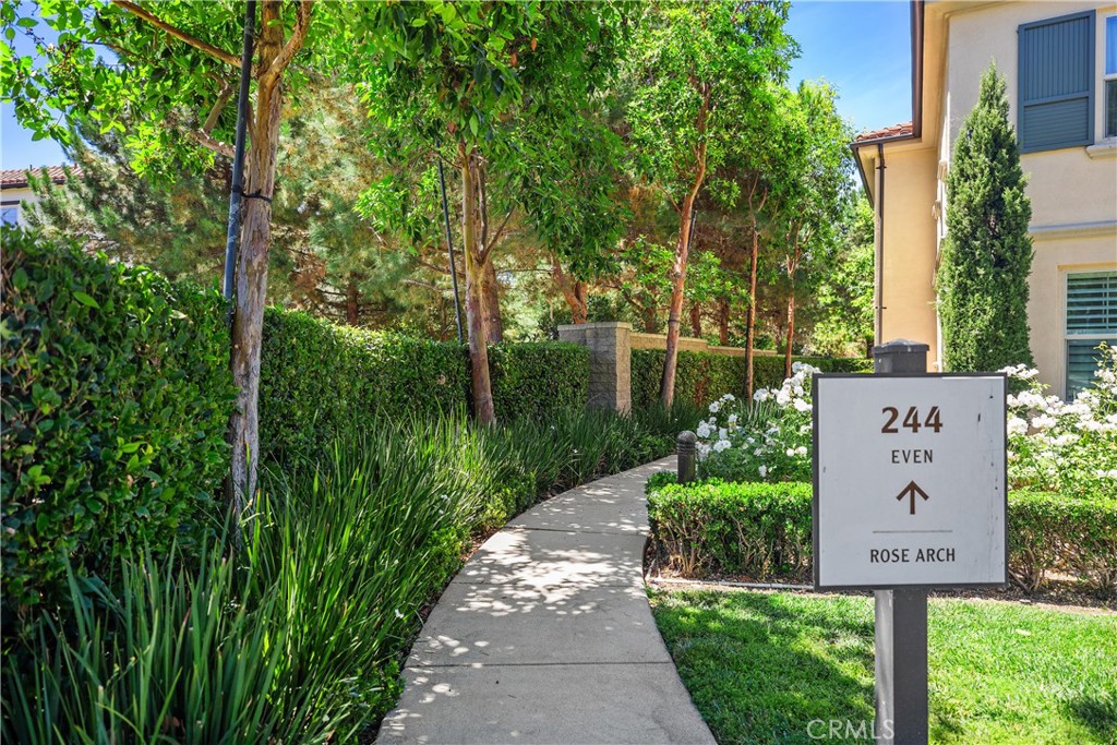 244 Rose Arch
