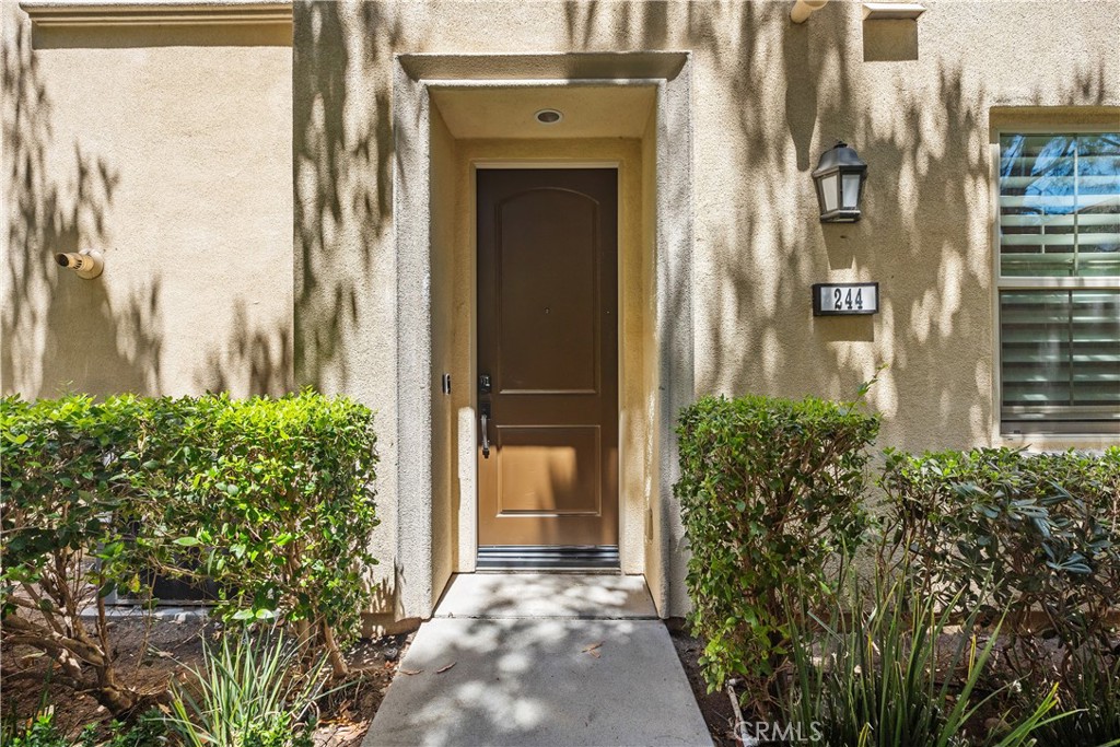 244 Rose Arch
