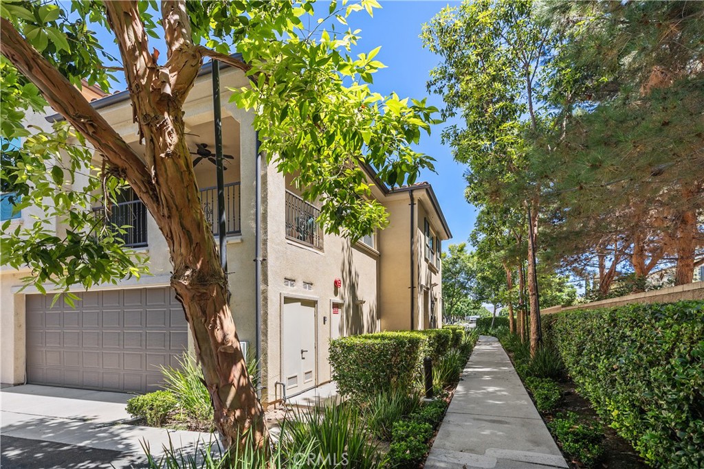 244 Rose Arch