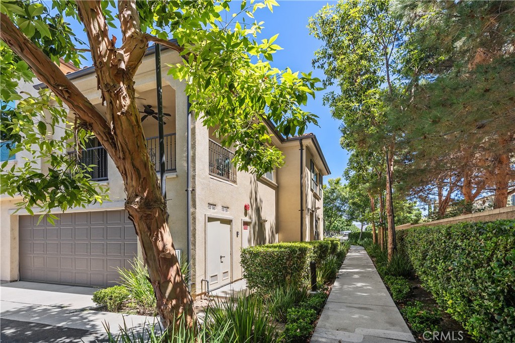 244 Rose Arch