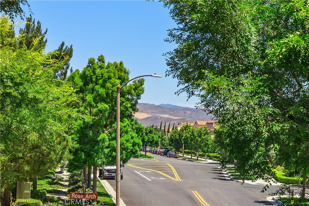 244 Rose Arch