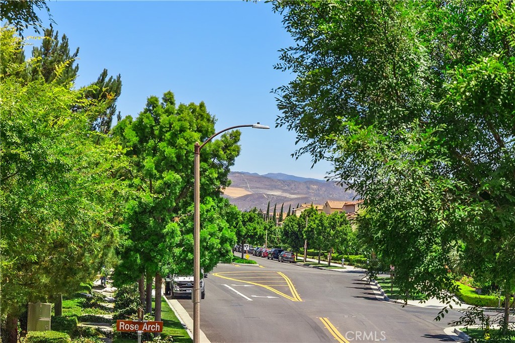244 Rose Arch