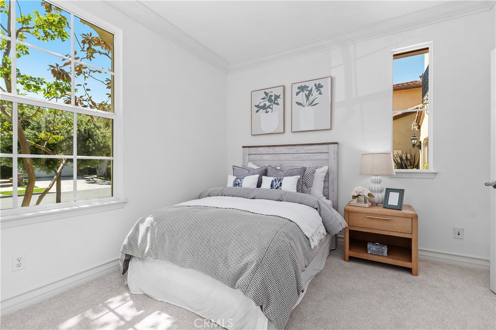 115 Bottlebrush