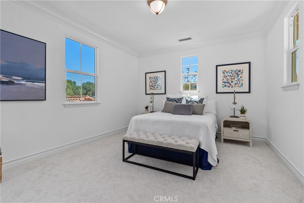 115 Bottlebrush