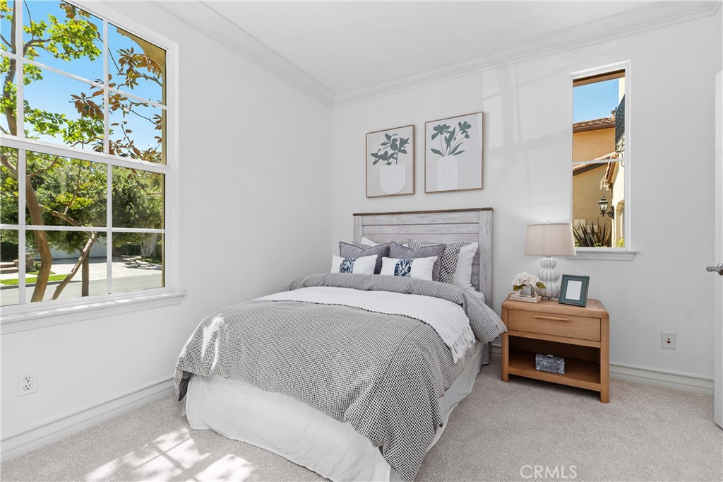 115 Bottlebrush