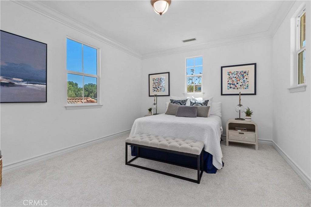 115 Bottlebrush
