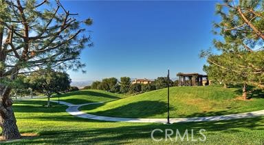 152 Treehouse