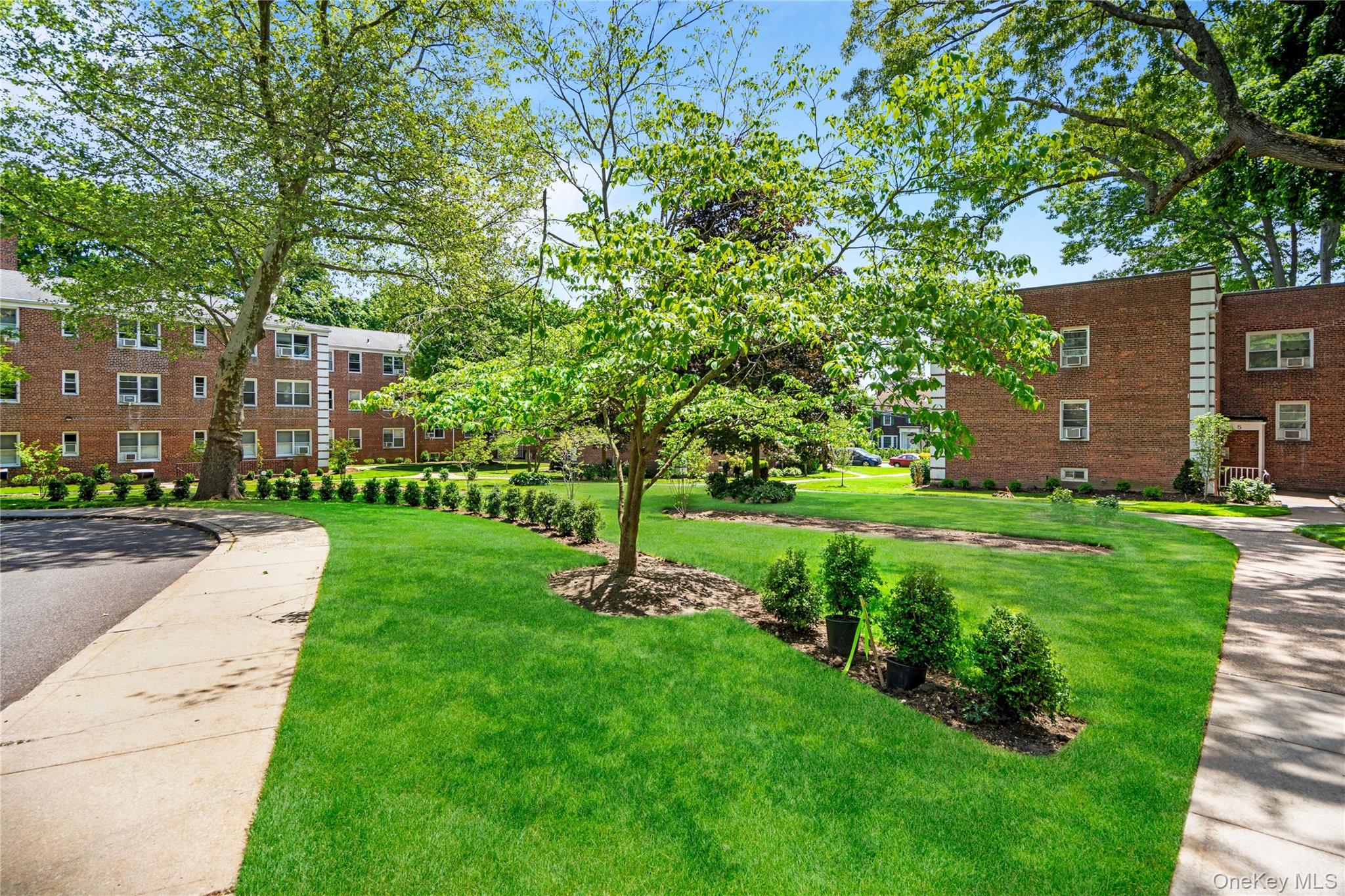 1 Edwards Street Unit: 2D