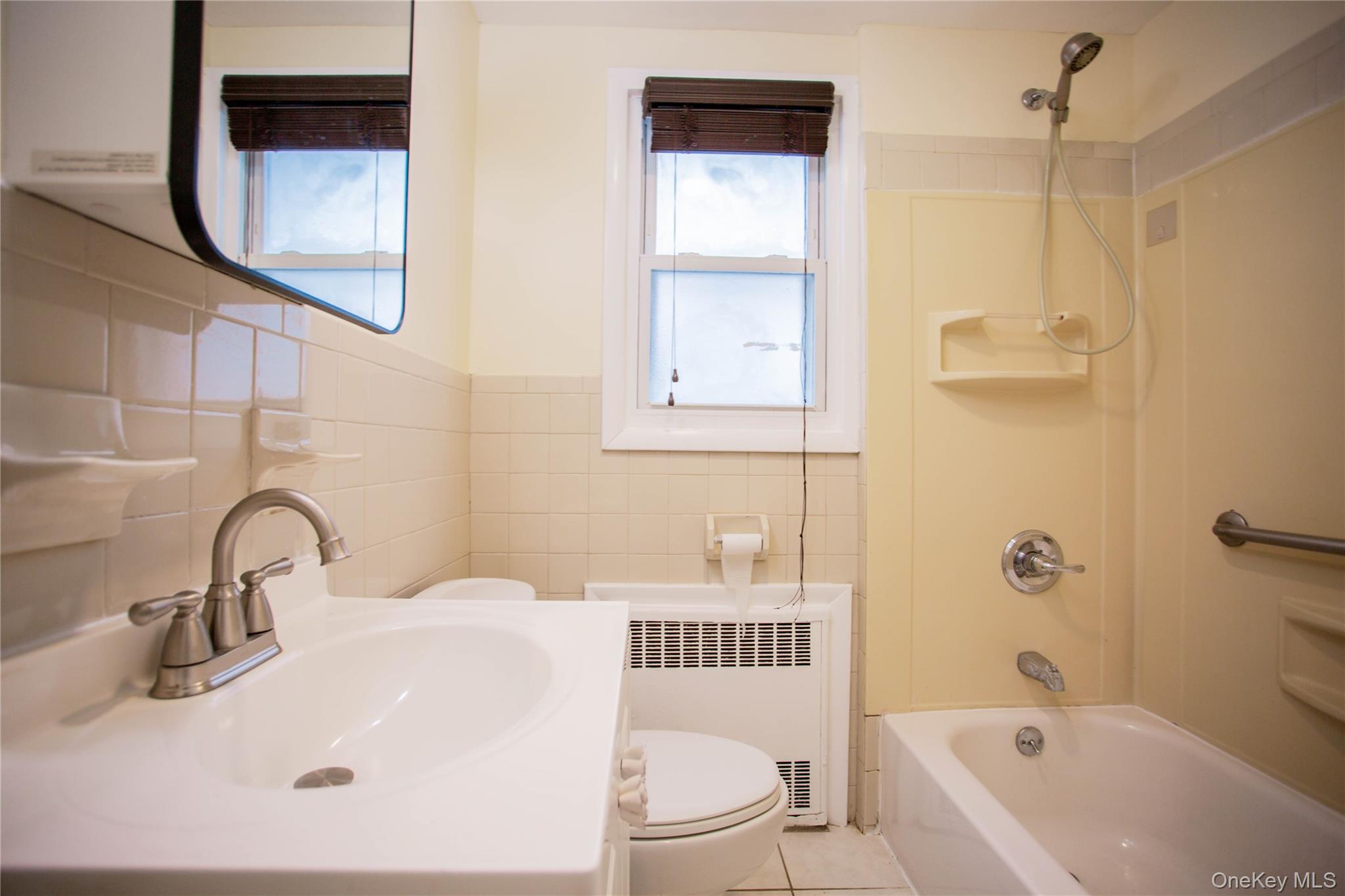 193 Nassau Boulevard Unit: Main