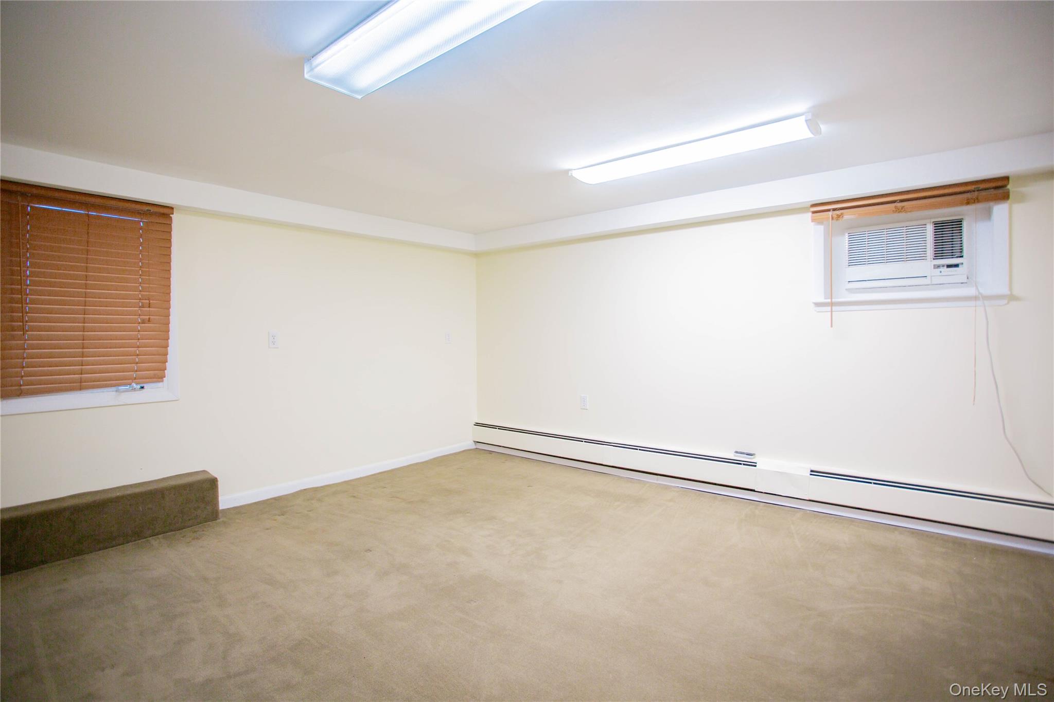 193 Nassau Boulevard Unit: Main