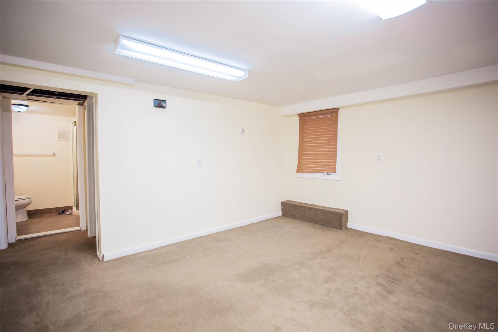 193 Nassau Boulevard Unit: Main