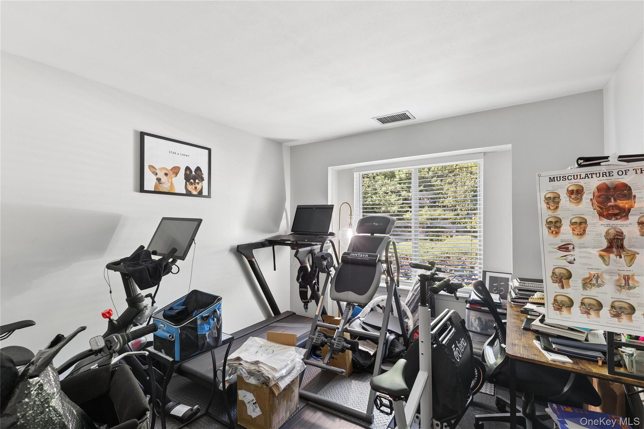 1004 Skyline Drive