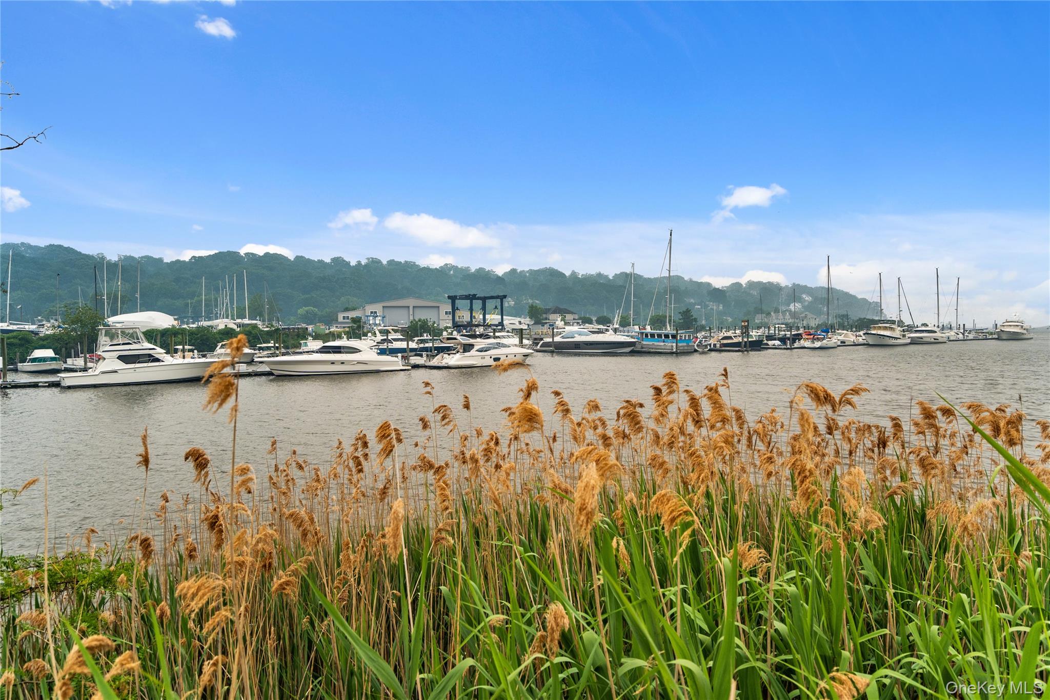 100 Garvies Point Road Unit: 1311