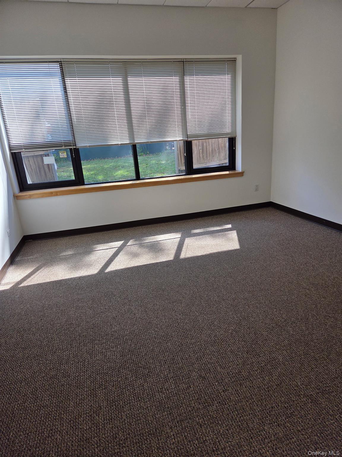 8 Maple Street Unit: 4