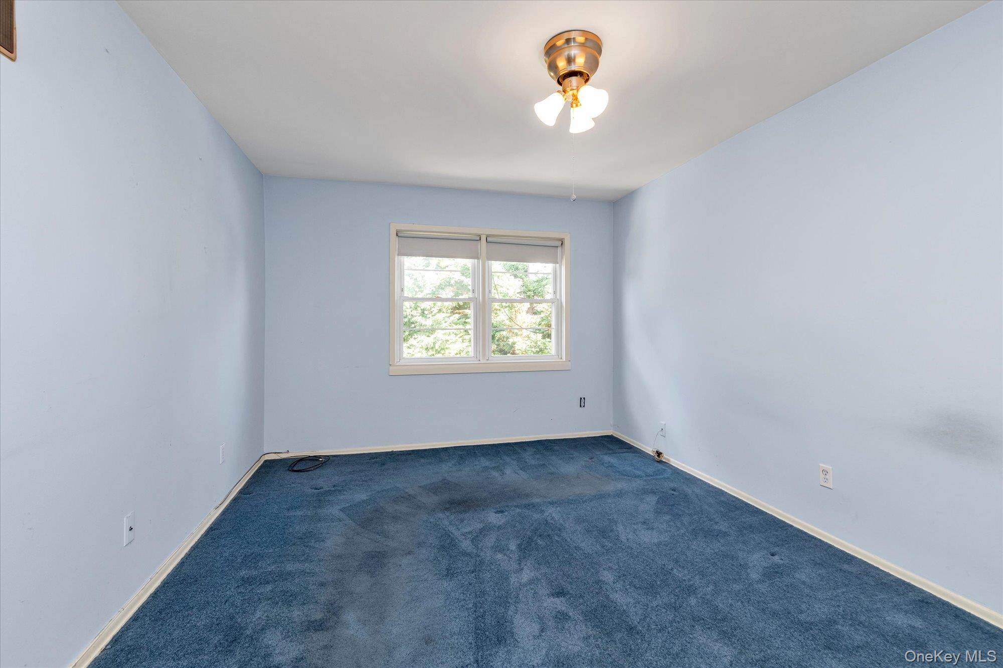 281 Wheeler Avenue Unit: 12
