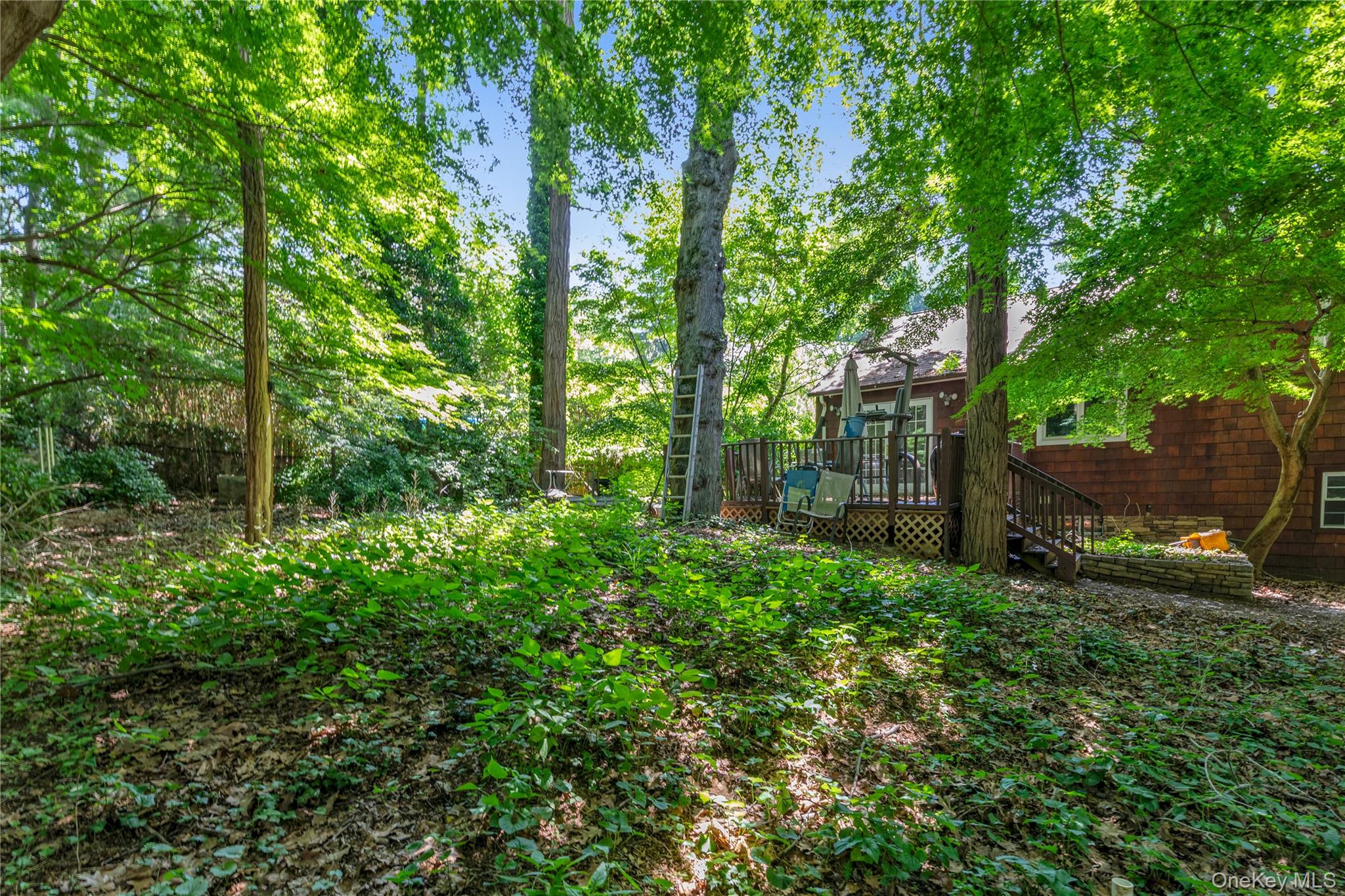 21 Laurel Avenue