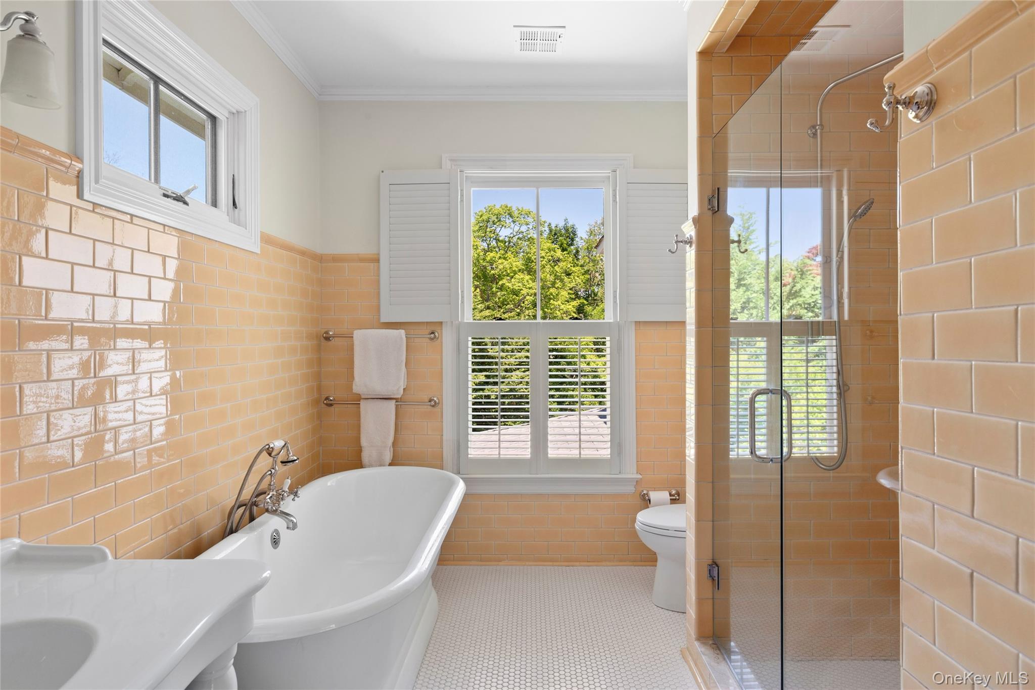 11 Prospect Avenue