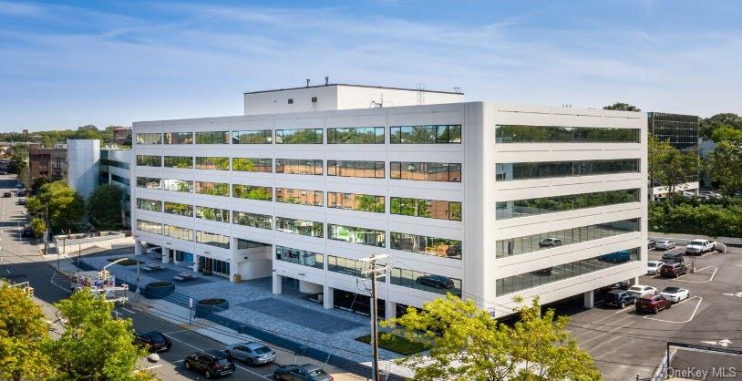 60 Cuttermill Road Unit: 612