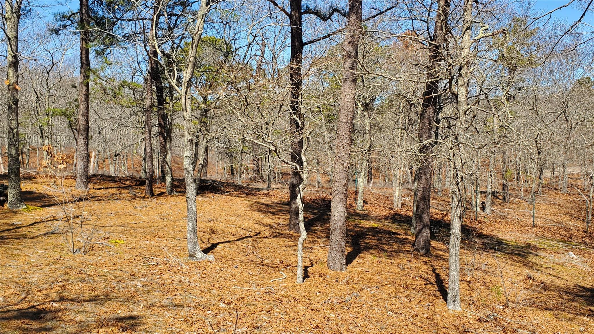 5 Bark Court
