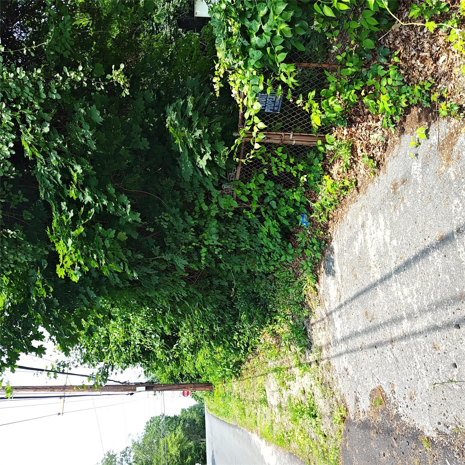 105 Gray Avenue