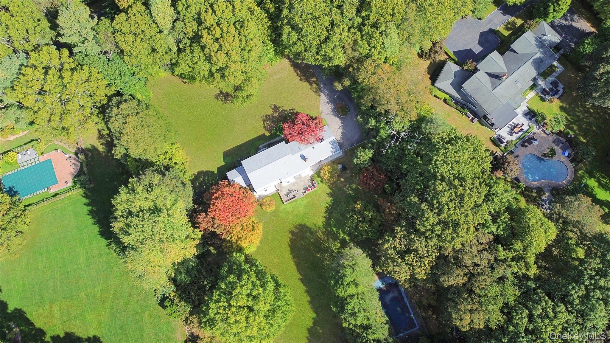 897 Ripley Lane