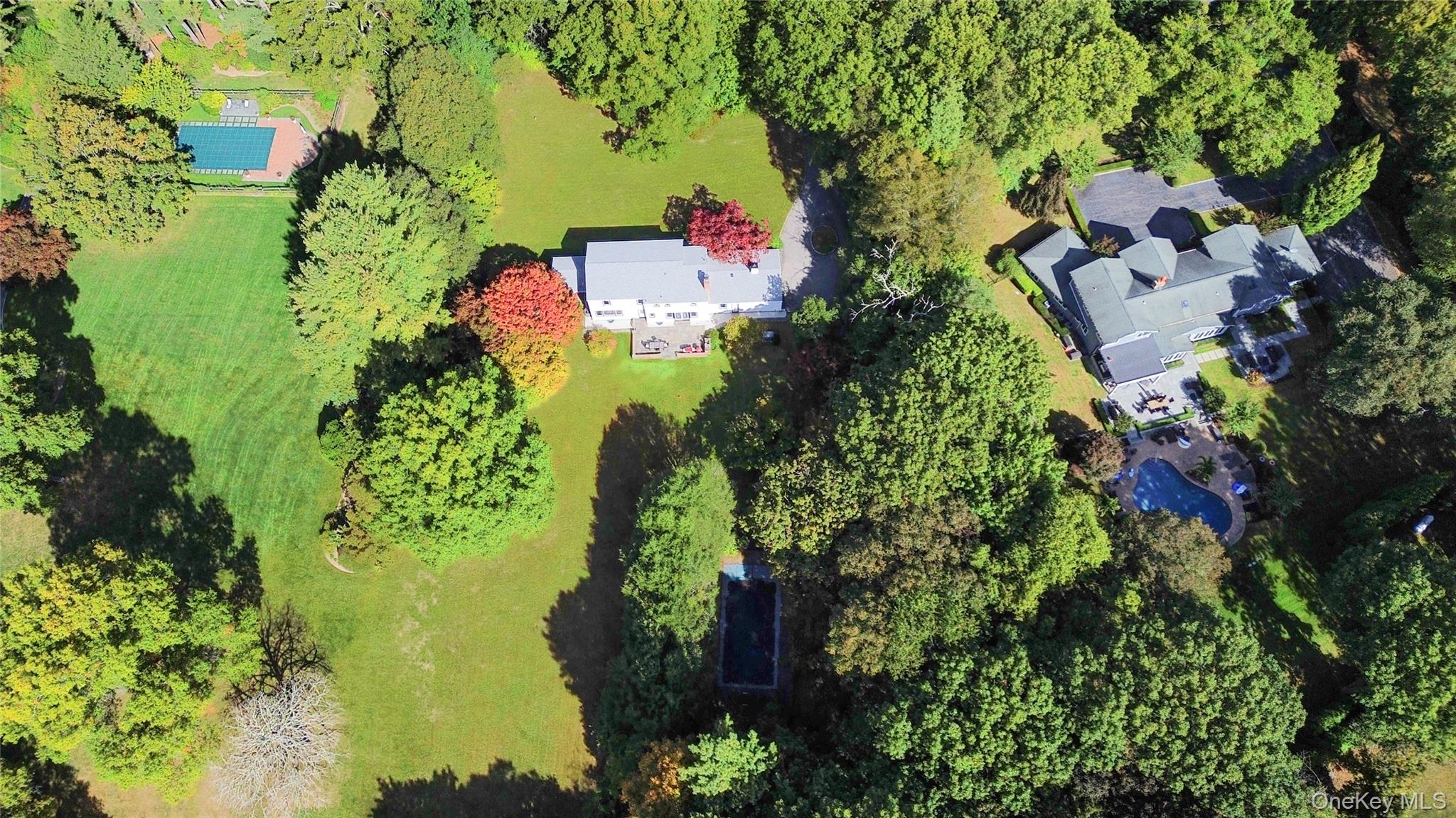 897 Ripley Lane