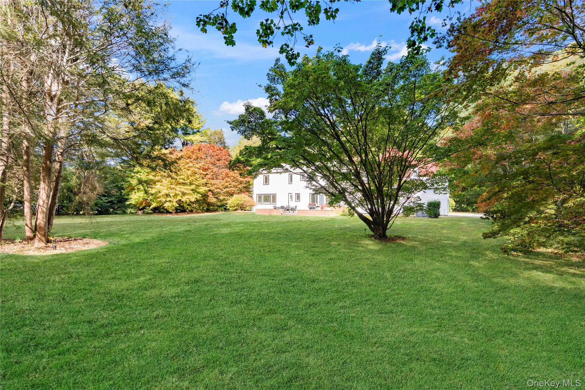 897 Ripley Lane
