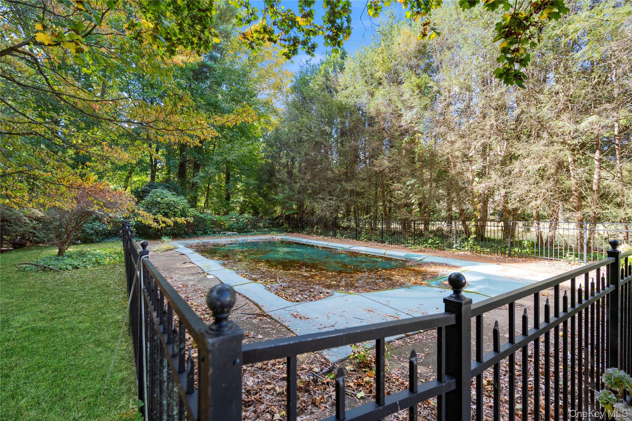 897 Ripley Lane