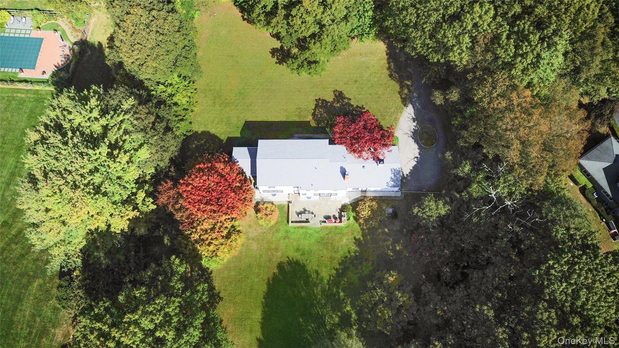 897 Ripley Lane