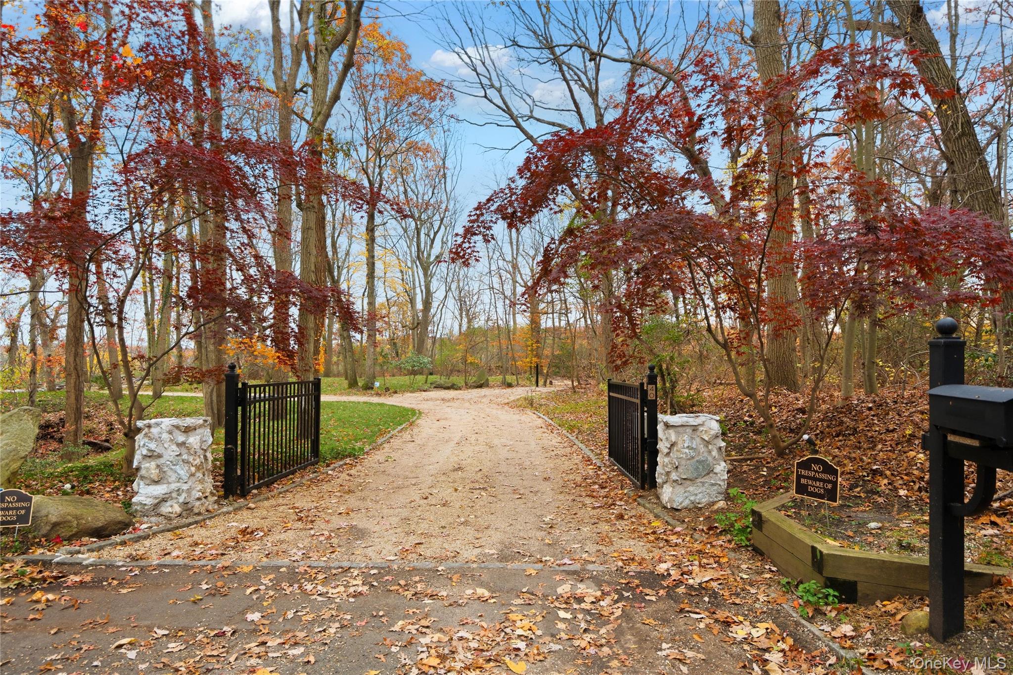 40 W View Drive