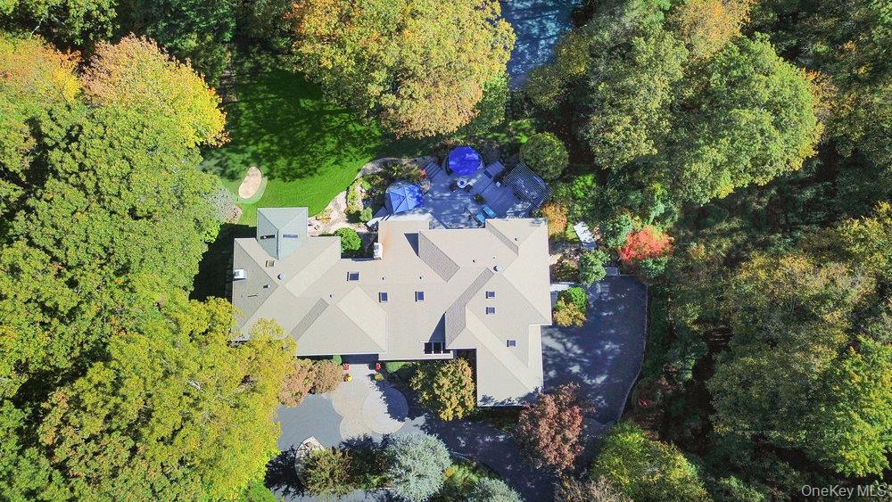 8 Forest Court