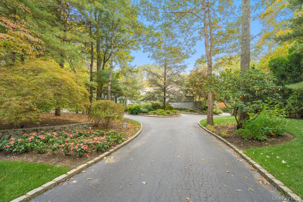 8 Forest Court
