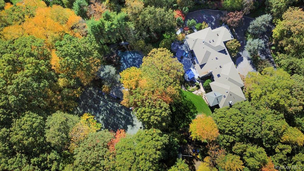 8 Forest Court