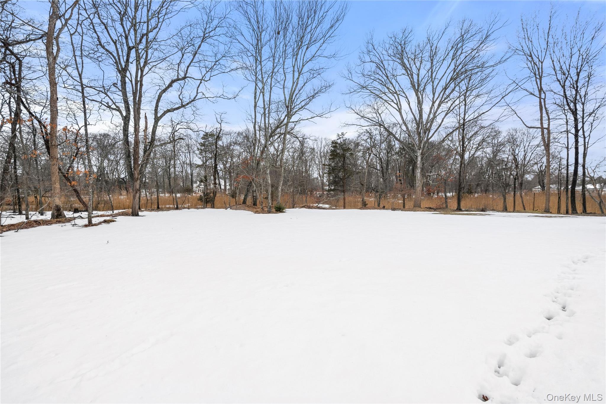 4 Monte Lane