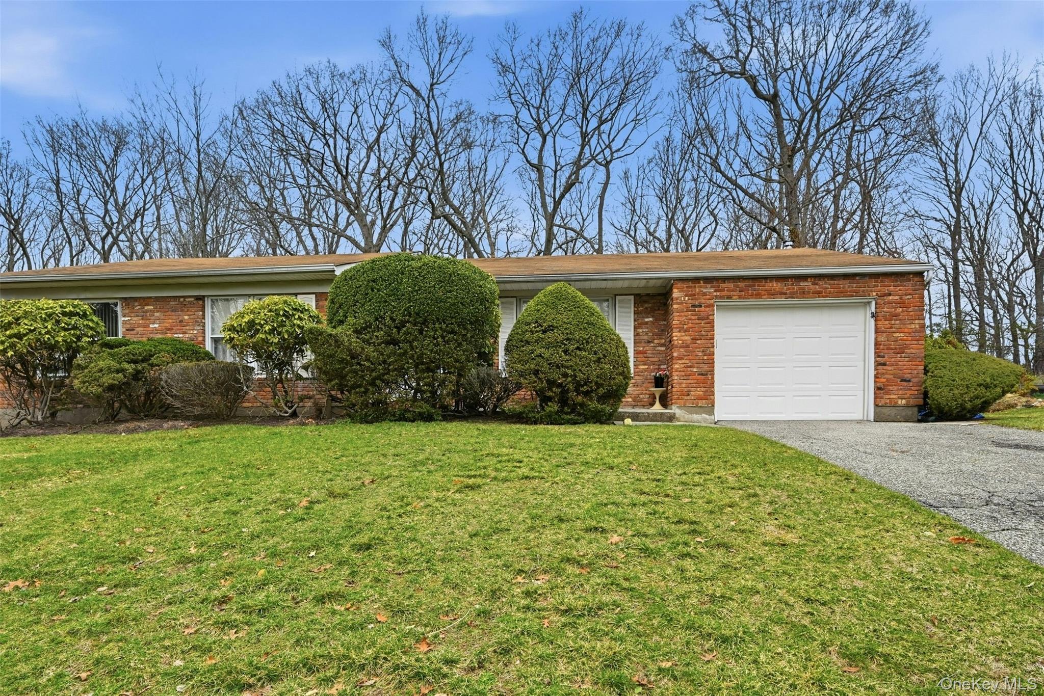 705 Brewster Drive