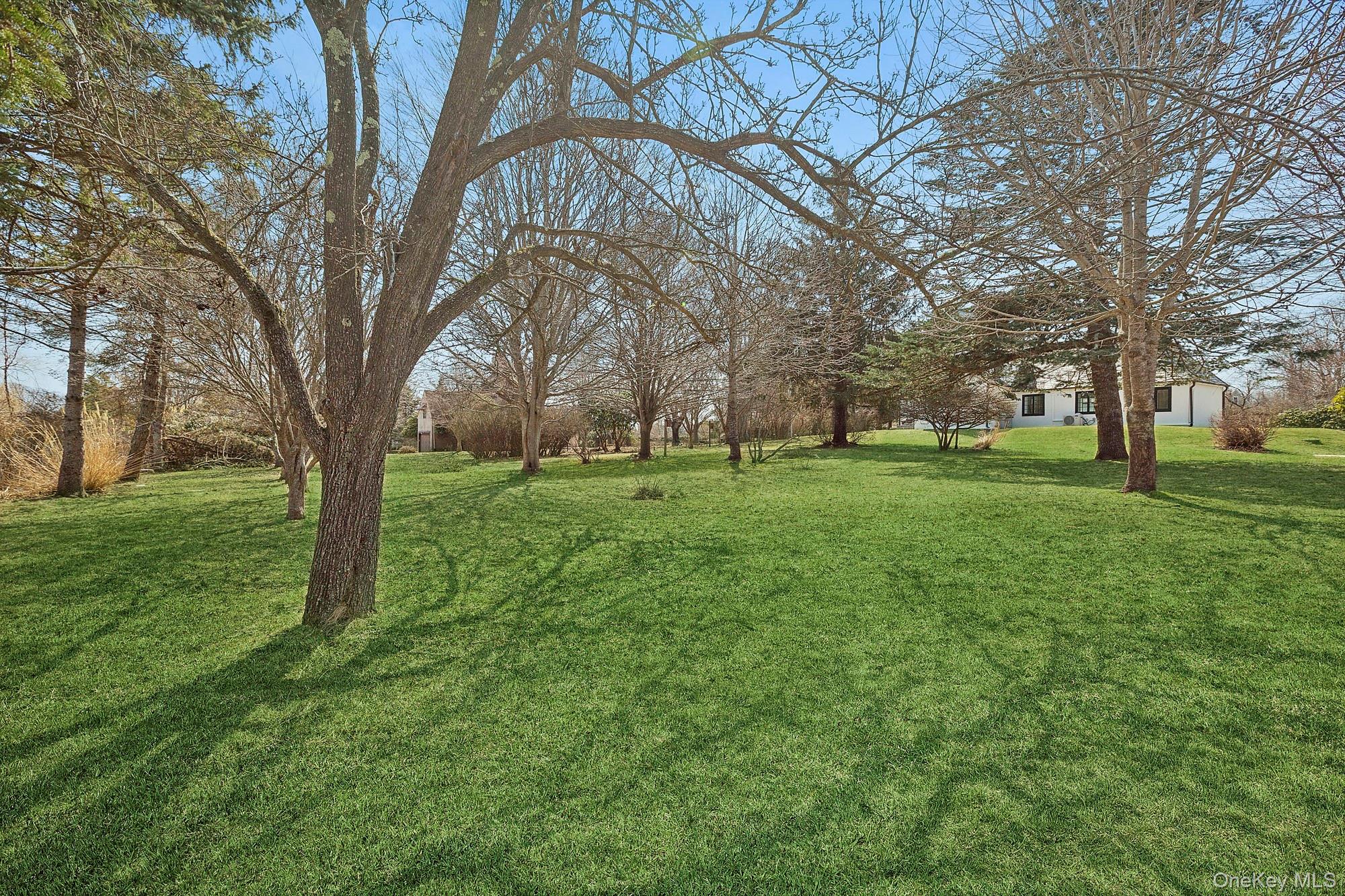 205 Fairview Avenue