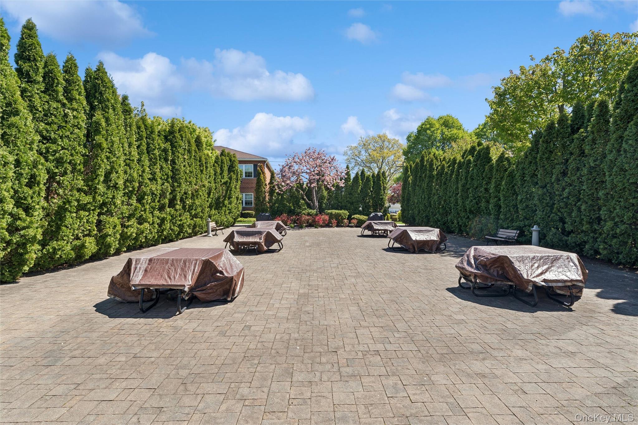 323 Hicksville Road Unit: 4