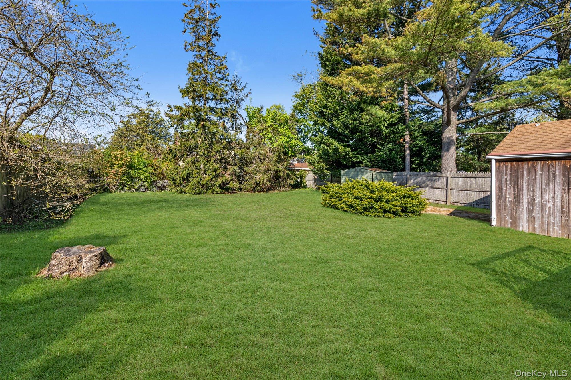 241 Phyllis Drive