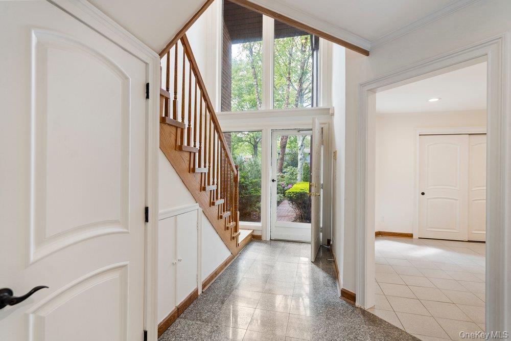 41 E View Court
