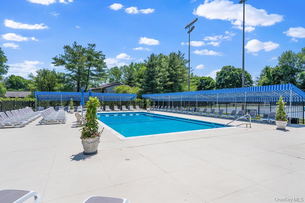 41 E View Court