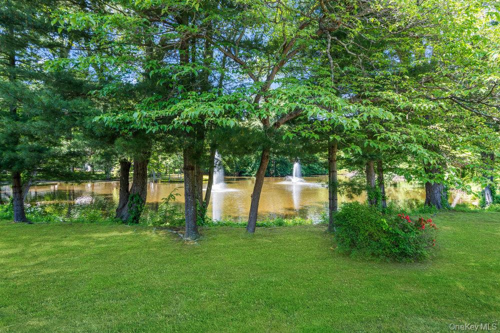 41 E View Court