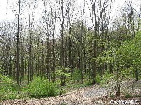 Lot #32-31 Lattingtown Road
