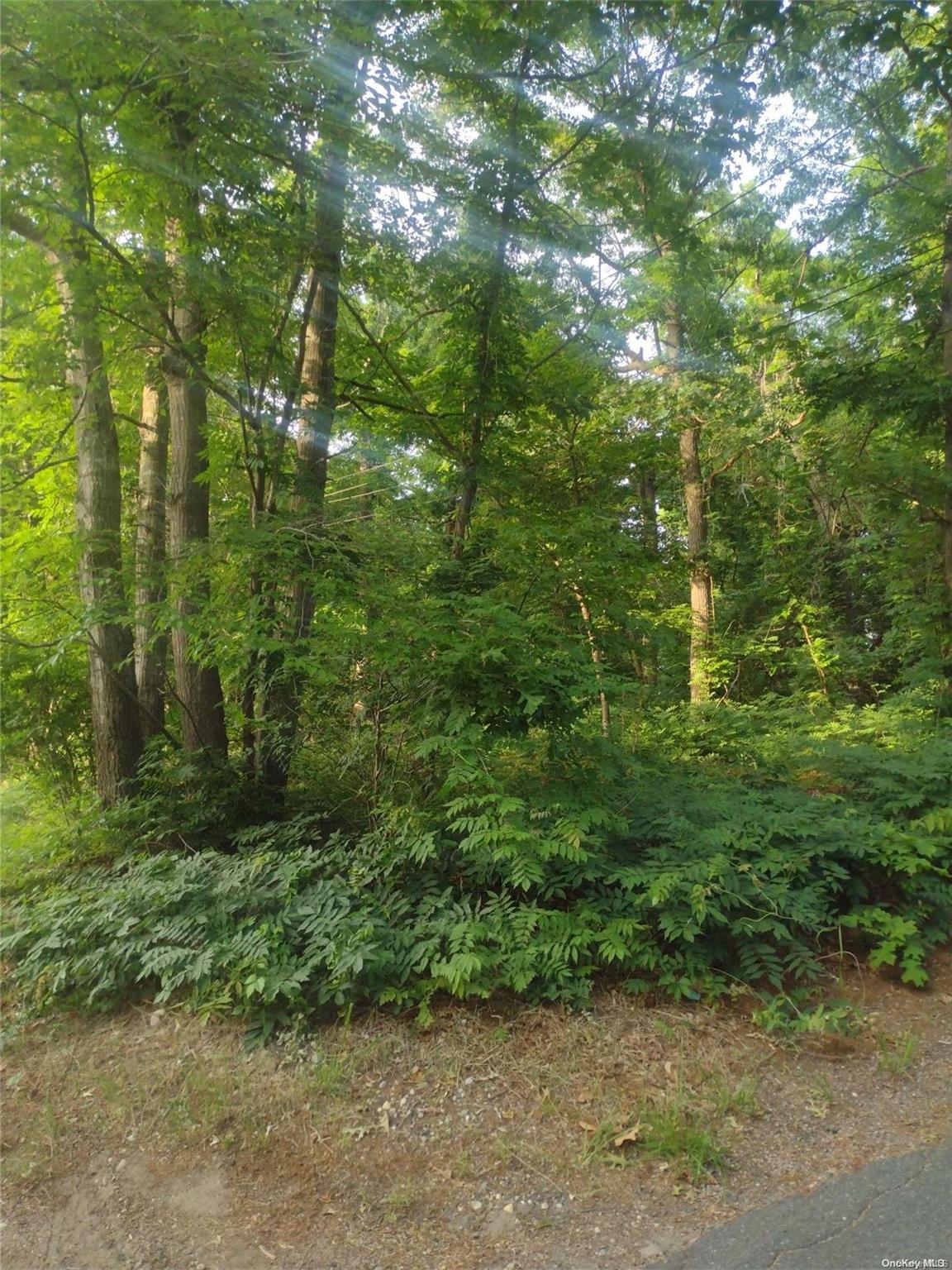 Cedar Lane