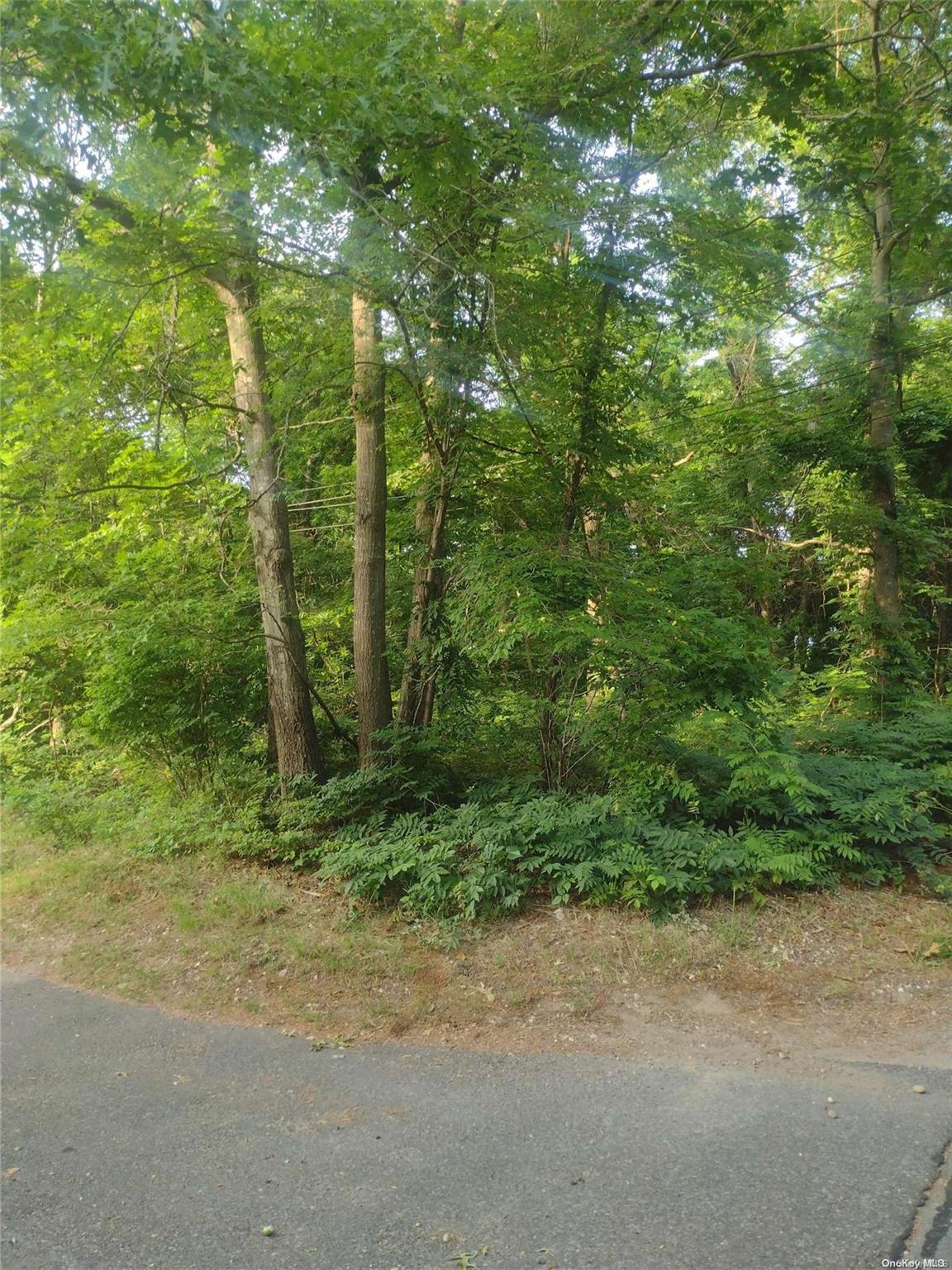 Cedar Lane