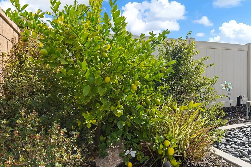 34806 Wind Poppy Way