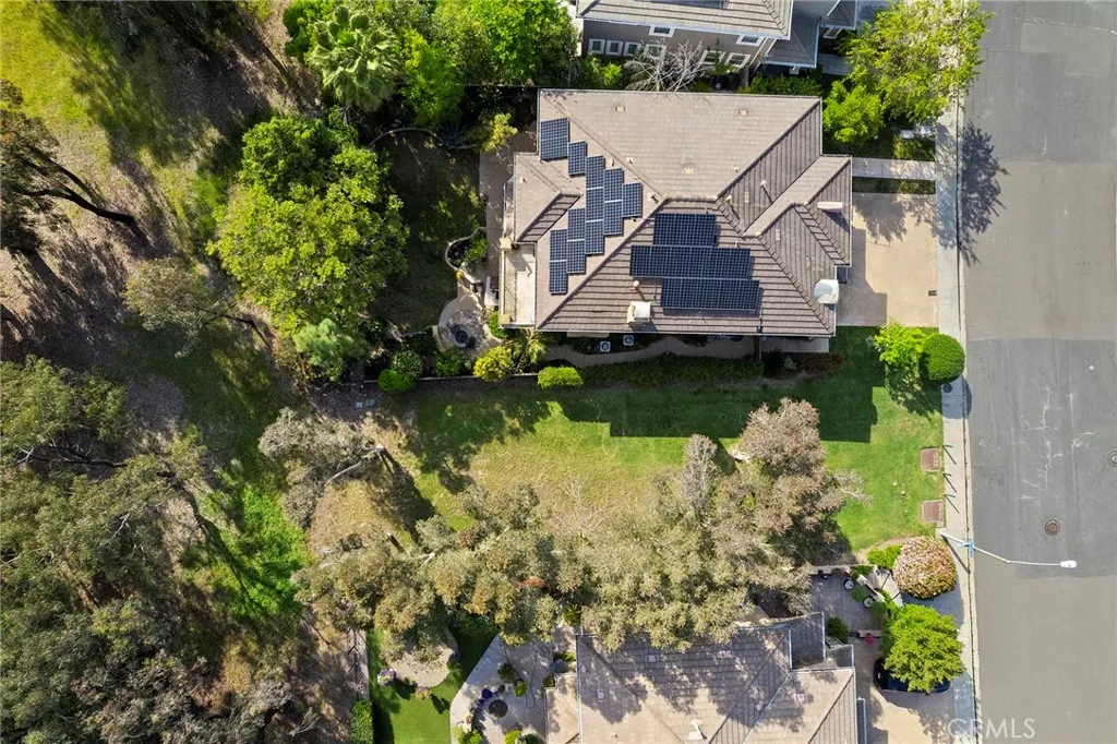 10202 Pinecastle Street