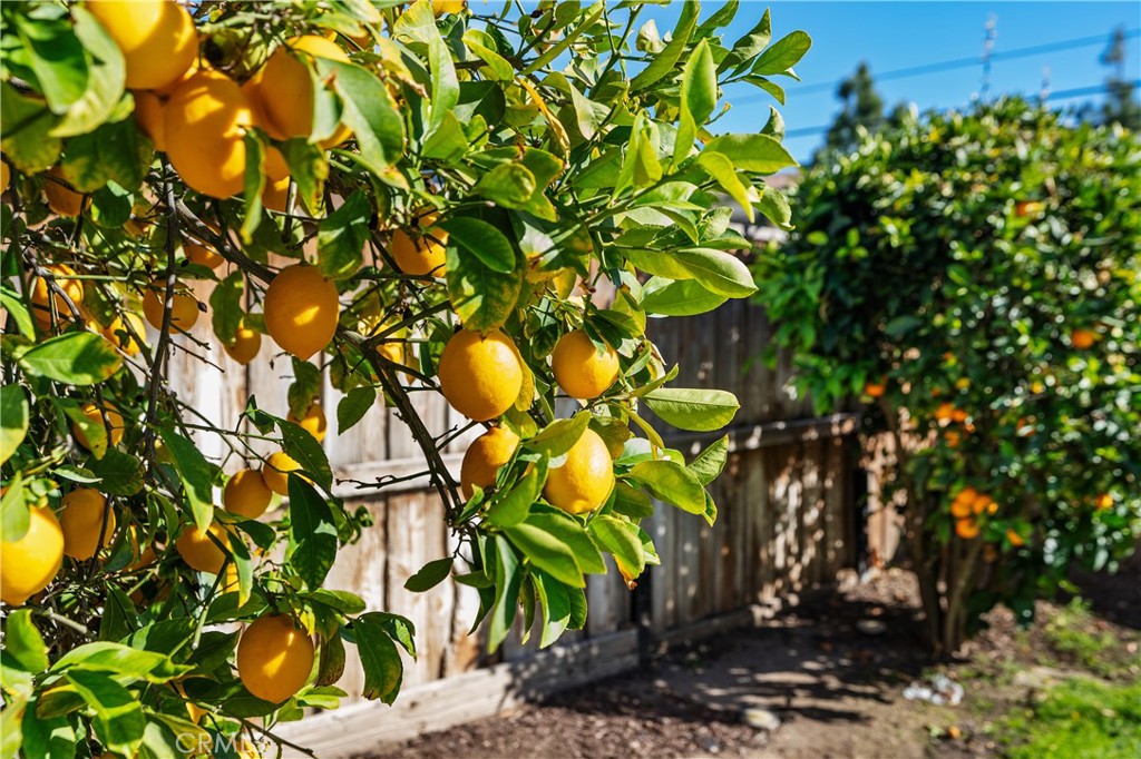 32679 Gabbiano Street